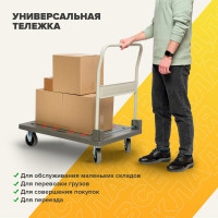 Платформенная тележка СТЕЛЛА-ТЕХНИК 900х610 со складной ручкой, грузоподъемность 250 кг FW-250П