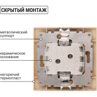 Выключатель TDM ELECTRIC 1 кл. 10А "ЭКО" (сосна) серия "Таймыр" SQ1814-0201