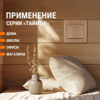 Выключатель TDM ELECTRIC 1 кл. 10А "ЭКО" (сосна) серия "Таймыр" SQ1814-0201