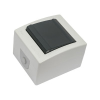 Клавишный однополюсный выключатель Aling-conel POWER IP44 10AX 250В открытой установки, серый 251.1A 117019