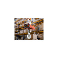 Крановые весы ВЭК 5000 ЛАЙТ с дублированием 1107