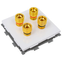 Аудио розетка CGSS Hi-End белая Практика PL-W201A-WCG