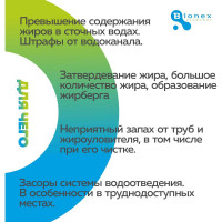 Таблетки для жироуловителя Bionex Grease WT Tab 12 шт WTTab 094