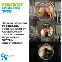 Таблетки для жироуловителя Bionex Grease WT Tab 12 шт WTTab 094