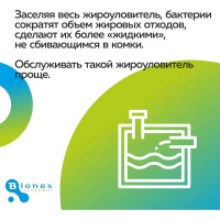 Таблетки для жироуловителя Bionex Grease WT Tab 12 шт WTTab 094
