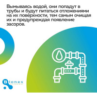 Таблетки для жироуловителя Bionex Grease WT Tab 12 шт WTTab 094
