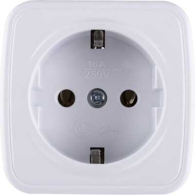 Розетка TDM ELECTRIC 2П+З открытой установки IP20 16А, белая "Дача" Народная SQ1824-0008