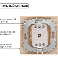 Розетка TDM ELECTRIC 2П 10А 250В "ЭКО" (сосна) серия "Таймыр" SQ1814-0211