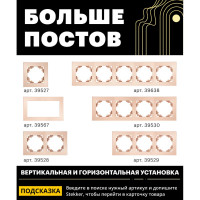1-местная рамка STEKKER серия Катрин, стеклянная, GFR00-7001-02, шампань 39527