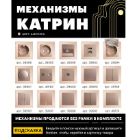 1-местная рамка STEKKER серия Катрин, стеклянная, GFR00-7001-02, шампань 39527