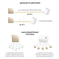 Двухклавишный беспроводной выключатель FERON TM82, 230V, 500W, золото 41726