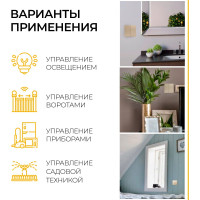 Двухклавишный беспроводной выключатель FERON TM82, 230V, 500W, золото 41726