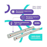 Фитосветильник Zema ZML-0160