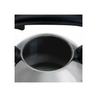 Чайник Alpenkok AK-516 нержавеющая сталь со свистком 3,0 л 12 0R-00006112