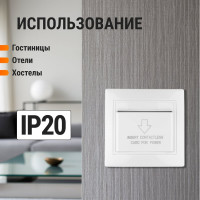 Карточный выключатель с задержкой отключения TDM ELECTRIC белый Таймыр SQ1814-0604