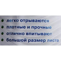 Универсальные салфетки (тряпки) Paclan в рулоне 70шт, 25х35см, вискоза, 40г/м2,"Practi Comfort" 410341