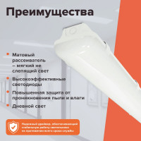 Промышленный светодиодный светильник Wolta 36Вт, IP65, 4400лм, 5000К, холодный свет, матовый ДСП14-36-001-5К