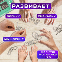 Головоломки металлические ЗОЛОТАЯ СКАЗКА уровень сложности ПРОФИ 6 шт. 662090