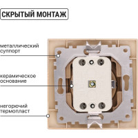 Розетка TDM ELECTRIC 2П+З 16А 250В "ЭКО" сосна "Таймыр" SQ1814-0212