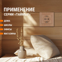 Розетка TDM ELECTRIC 2П+З 16А 250В "ЭКО" сосна "Таймыр" SQ1814-0212