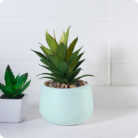 Аэрозольная краска Elcon для мебели  и предметов декора, для металла, для пластика, для керамики, для стекла, для гипса, быстросохнущая, акриловая, зеленый шалфей, аэрозоль 520 мл 00-00462256