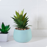 Аэрозольная краска Elcon в баллончике для мебели, для декора, для металла, для пластика, для керамики, для стекла, для гипса, быстросохнущая, акриловая, свежая мята, аэрозоль 520 мл 00-00462262