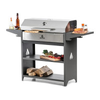 Мангал гриль Professional Optima BBQ GRATAR POBn 3001