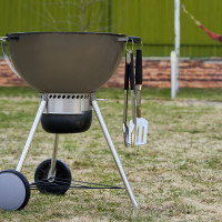 Набор: лопатка и щипцы для барбекю и гриля СОКОЛ Комфорт 62-0047