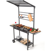 Мангал передвижной с крышей GRATAR МАН 304