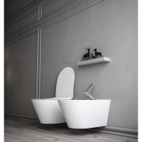 Подвесной унитаз без сидения LOGAN L3W AVVA 530x335 00288924