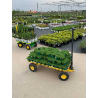 Платформенная тележка WALZMATIC 1000 00000001013