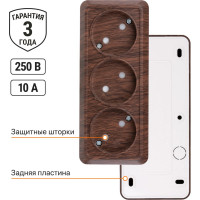 Горизонтальная 3-х местная розетка TDM ELECTRIC 2П открытой установки IP20 10A с з/ш бук Ладога SQ1801-0325