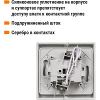 Выключатель одноклавшиный с подсветкой скрытой установки, серый TDM ELECTRIC IP54 10А серия "Вуокса" SQ1803-0105