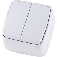 2-клавишный выключатель TDM ELECTRIC открытой установки IP20 10А, белый Дача Народная SQ1824-0002