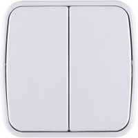 2-клавишный выключатель TDM ELECTRIC открытой установки IP20 10А, белый Дача Народная SQ1824-0002