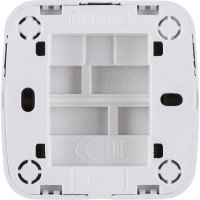 2-клавишный выключатель TDM ELECTRIC открытой установки IP20 10А, белый Дача Народная SQ1824-0002