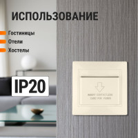 Карточный выключатель TDM ELECTRIC с задержкой отключения слоновая кость Таймыр SQ1814-0704