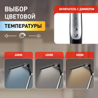 Настольный светодиодный светильник ЭРА NLED-496-12W-BK на струбцине, черный Б0052767