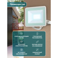 Прожектор светодиодный уличный ЭРА LPR-023-W-65K-050 50Вт 6500K IP65 белый Б0054642