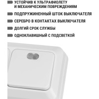 Комбинированный блок TDM ELECTRIC 1-клавишный выключатель с подсветкой 10А + розетка 2П 10А 250В БКВР, IP20, белый, Ладога SQ1801-0107