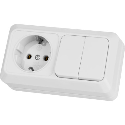 Комбинированный блок TDM ELECTRIC 2-клавишный выключатель 10А + розетка 2П+З 16А, 250В, БКВР, IP20, белый, Ладога SQ1801-0102