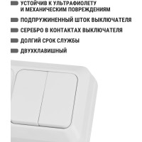 Комбинированный блок TDM ELECTRIC 2-клавишный выключатель 10А + розетка 2П+З 16А, 250В, БКВР, IP20, белый, Ладога SQ1801-0102