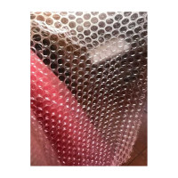 Воздушно-пузырчатая пленка Парников ПЭ, 63 гр/м2, 2-х слойная 4603302908614 