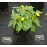 Колышки Delta-Park FIX для парника GB, 100 шт. kolishkifix_100