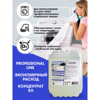Кислородный отбеливатель Мультимэйд 31 для белья профессиональная стирка, 5 л 4607002306039