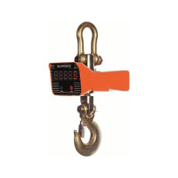 Крановые весы Сибталь OCS-TY 10т 000 0001 0010