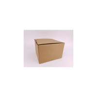 Контейнер для обеда Bikson 135x95 см ХК633