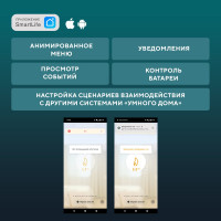 Умный беспроводной Wi-Fi датчик утечки газа SECURIC SEC-S-201W