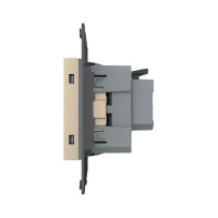 Электрическая розетка LIVOLO с заземлением защитными шторками 16A, зажимы, цвет золотой (механизм) VL-FCTC16A-2APS01