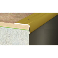 Угол РУССКИЙ ПРОФИЛЬ 40x22 мм, 0.9 м, алюминий, 10 шт. 4607130271971